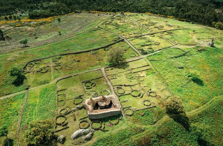 &quot;National Geographic destaca tecnologia de startup da FCUP&quot; - Noticias UP, 2025